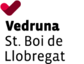 ALEVÍ A AFA VEDRUNA